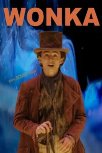 wonka movie star cast