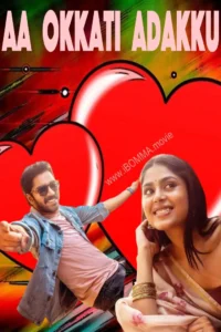Aa Okkati Adakku movie review